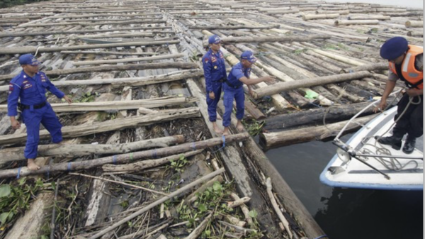 TNI AL Amankan Dua Kapal Pengangkut 8.388 Meter Kubik Kayu di Perairan Pulau Buru