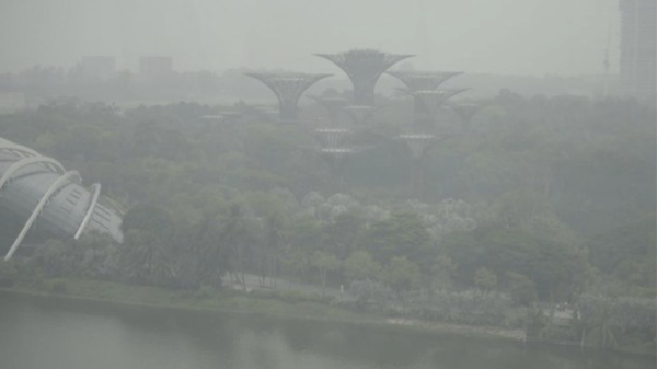 Singapura Kirim Peringatan kepada 10 Perusahaan Indonesia Terkait Karhutla, Berikut Daftar Namanya