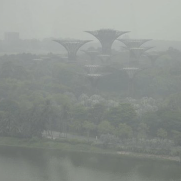 Singapura Kirim Peringatan kepada 10 Perusahaan Indonesia Terkait Karhutla, Berikut Daftar Namanya