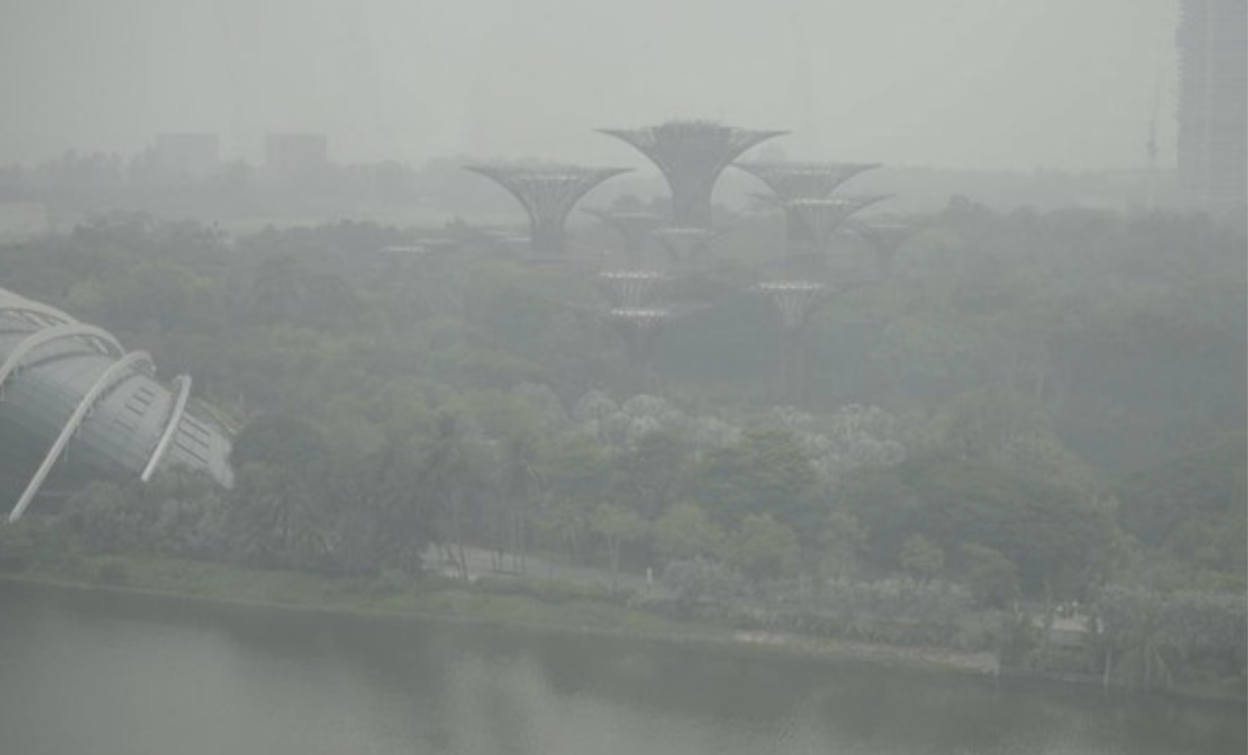 Singapura Kirim Peringatan kepada 10 Perusahaan Indonesia Terkait Karhutla, Berikut Daftar Namanya