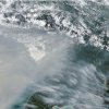 NASA Ungkap Emisi Karhutla Papua Tembus 35 Juta Ton Karbon, El Niño Perparah Kekeringan