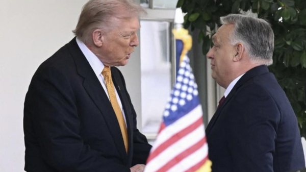 Dua Sekutu Donald Trump Tumbang dalam Pemilu, Dukungan Politik Tak Menjamin Kemenangan Dua Sekutu Donald Trump Tumbang dalam Pemilu, Dukungan Politik Tak Menjamin Kemenangan