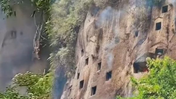 Karhutla di Toraja Utara Meluas hingga Membakar Kuburan Batu di Tebing Baruppu Karhutla di Toraja Utara Meluas hingga Membakar Kuburan Batu di Tebing Baruppu